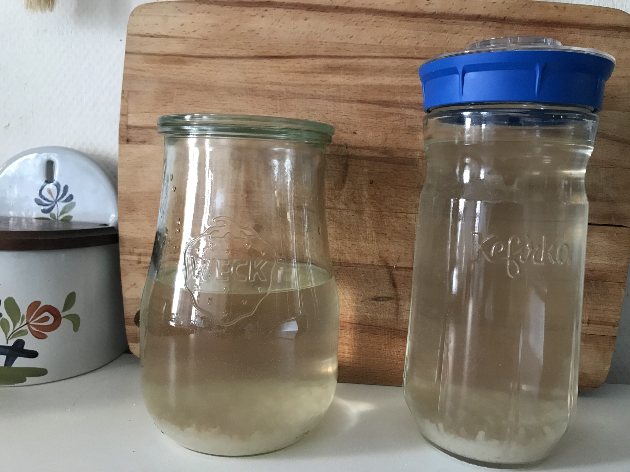 Water kefir