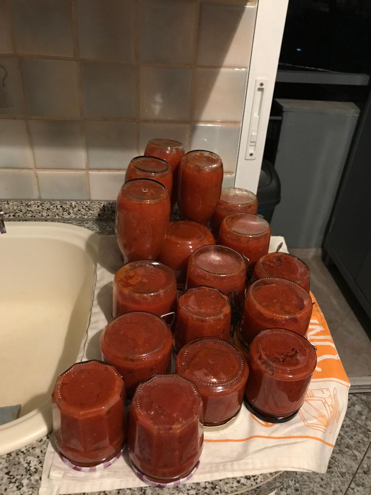 Summer harvest tomato sauce